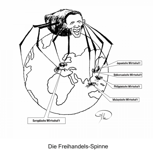 11 Freihandels-Spinne